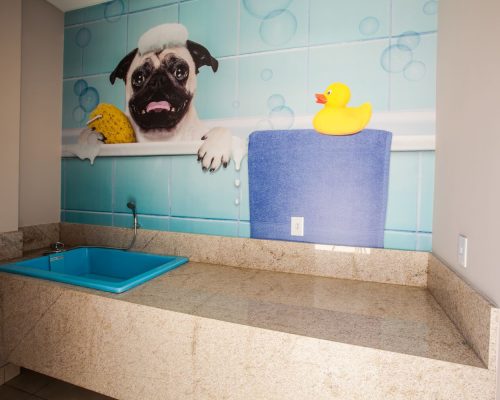 Apartamento à venda no Illuminati Residence